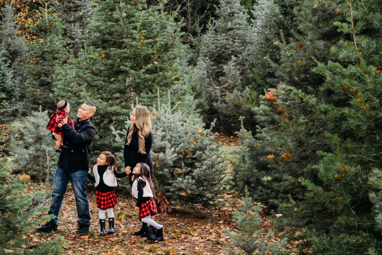 Family of five looks up at trees in a Christmas tree farm, dad holding the baby