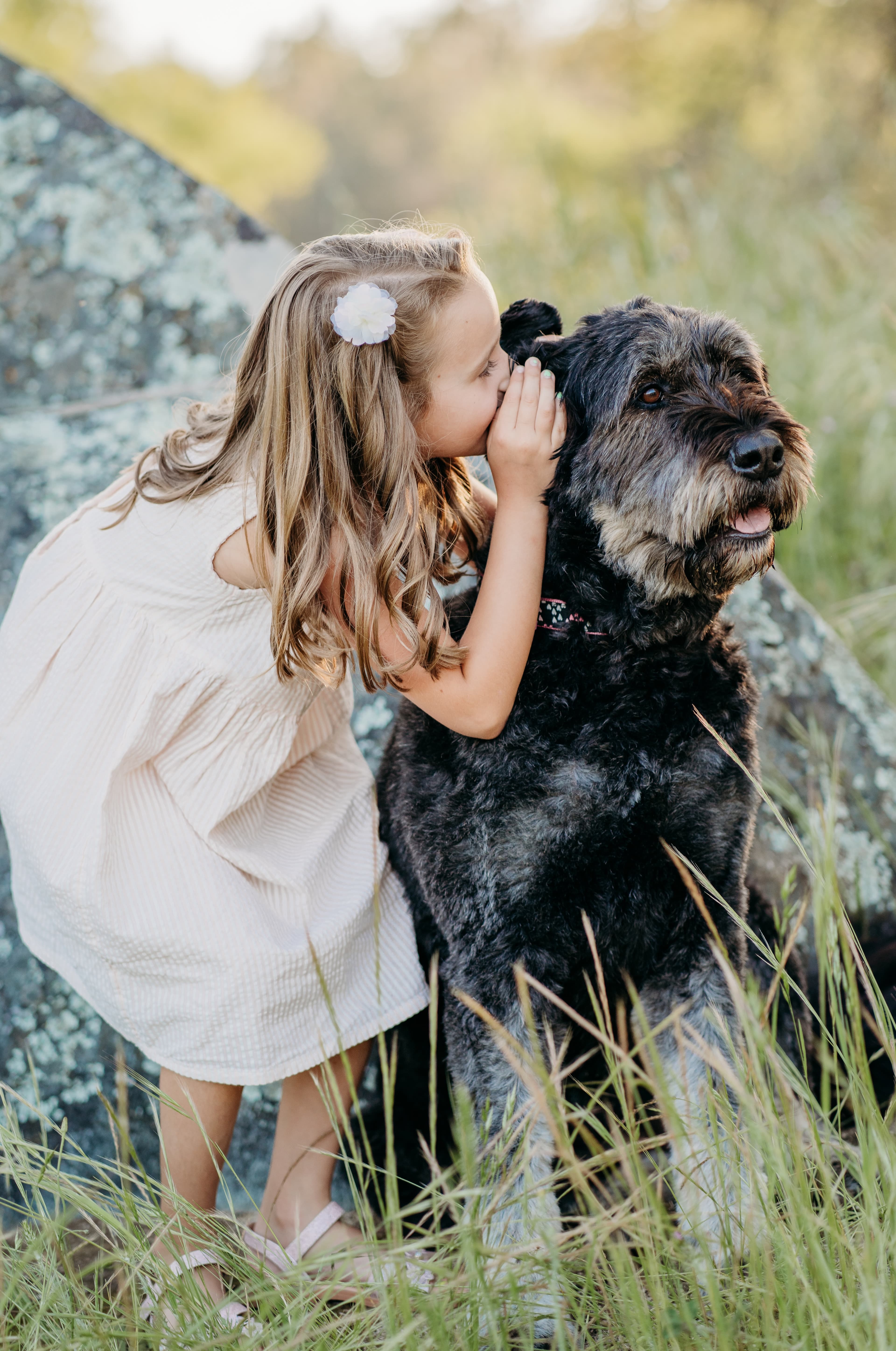 Young girl in a cream dress nuzzles a large shaggy dog among rocks and tall grass