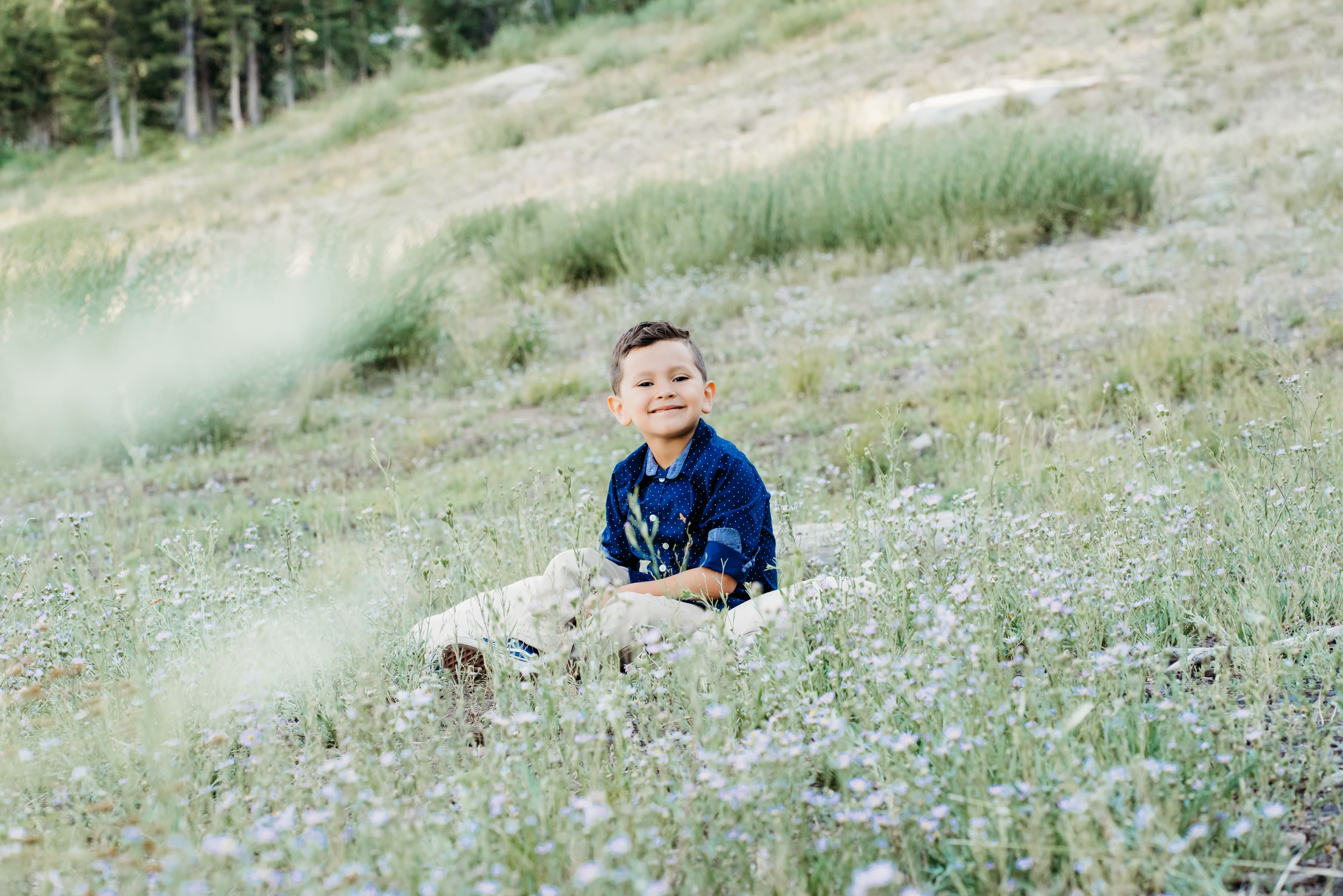 Young boy in a navy polka-dot shirt sits smiling in a wildflower meadow